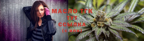 дмт Рославль